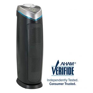 best air purifier for odor elimination