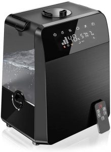Best Humidifier for Allergic Rhinitis