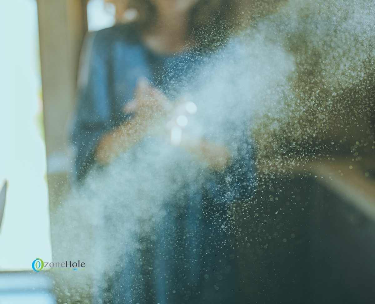 How To Get Rid of Dust Flying Around The Room DIY Methods The Ozone