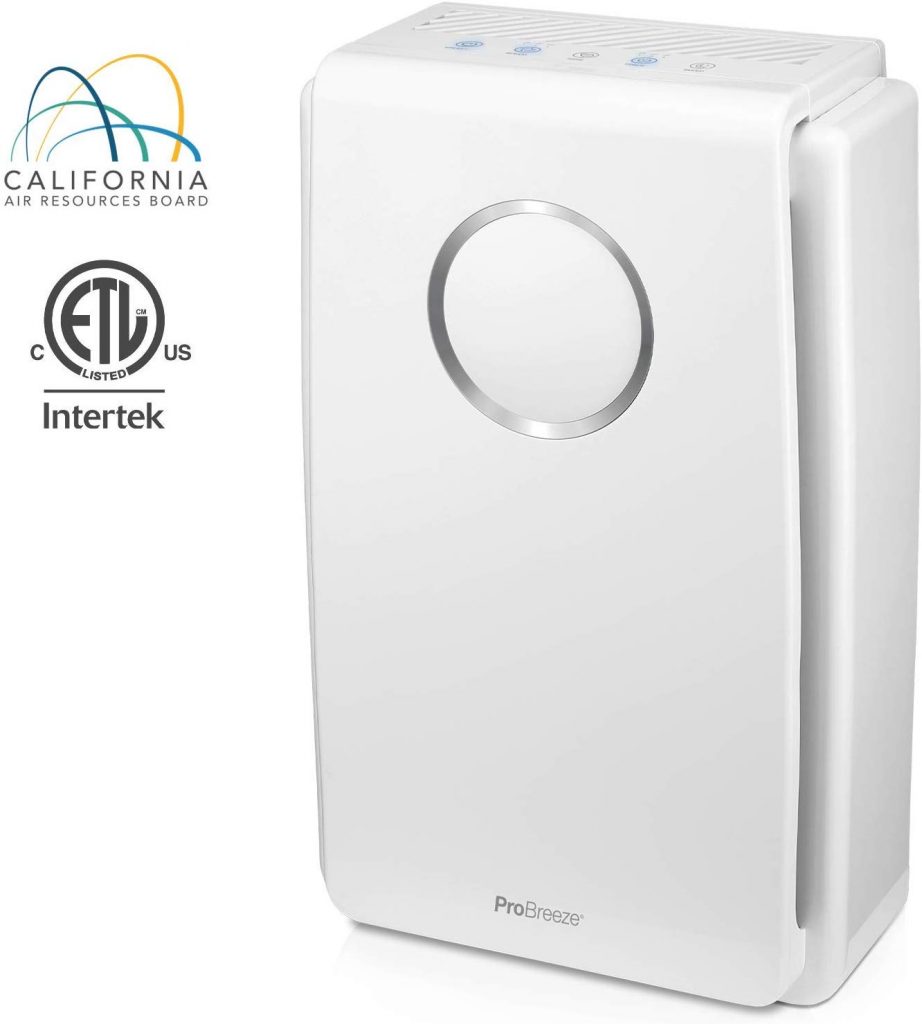 Best air filter for mold