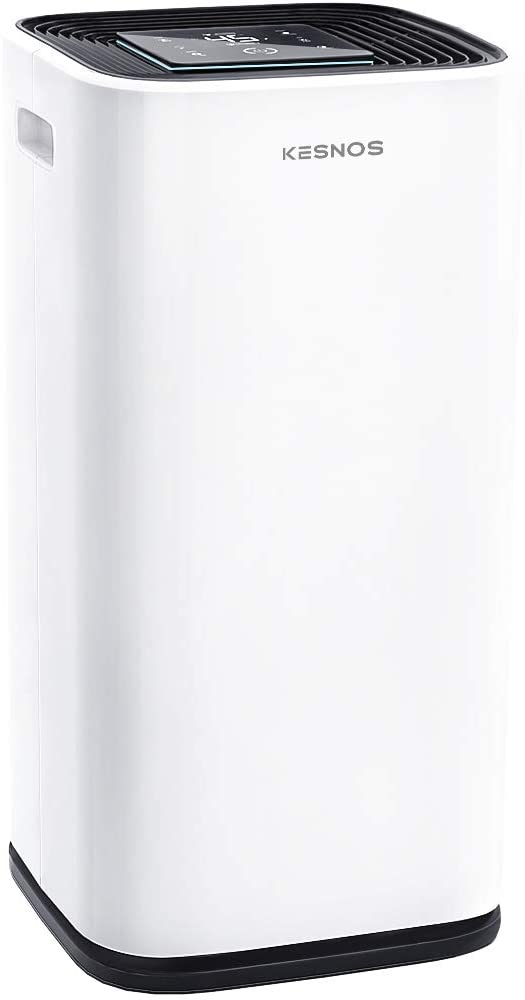 The 5 Best Dehumidifiers For a Large Room Buying Guide The Ozone Hole