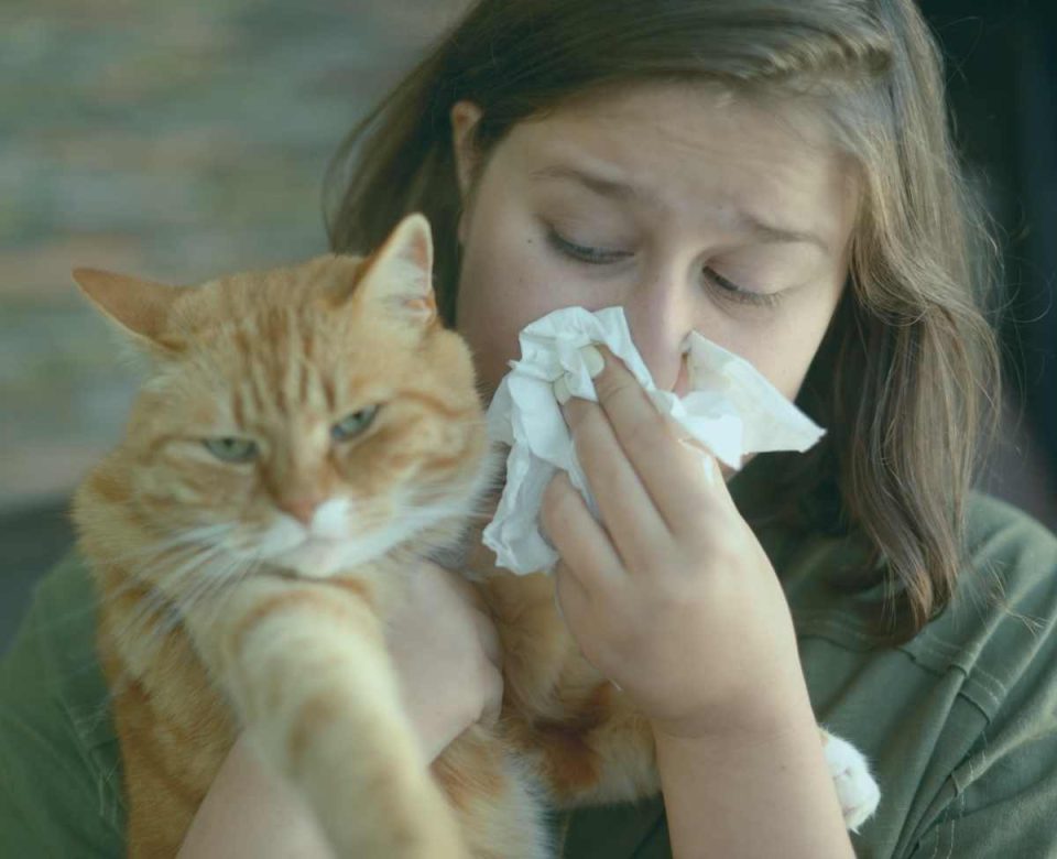 The Best Air Purifier to Remove Vocs Consumer Reviews The Ozone Hole