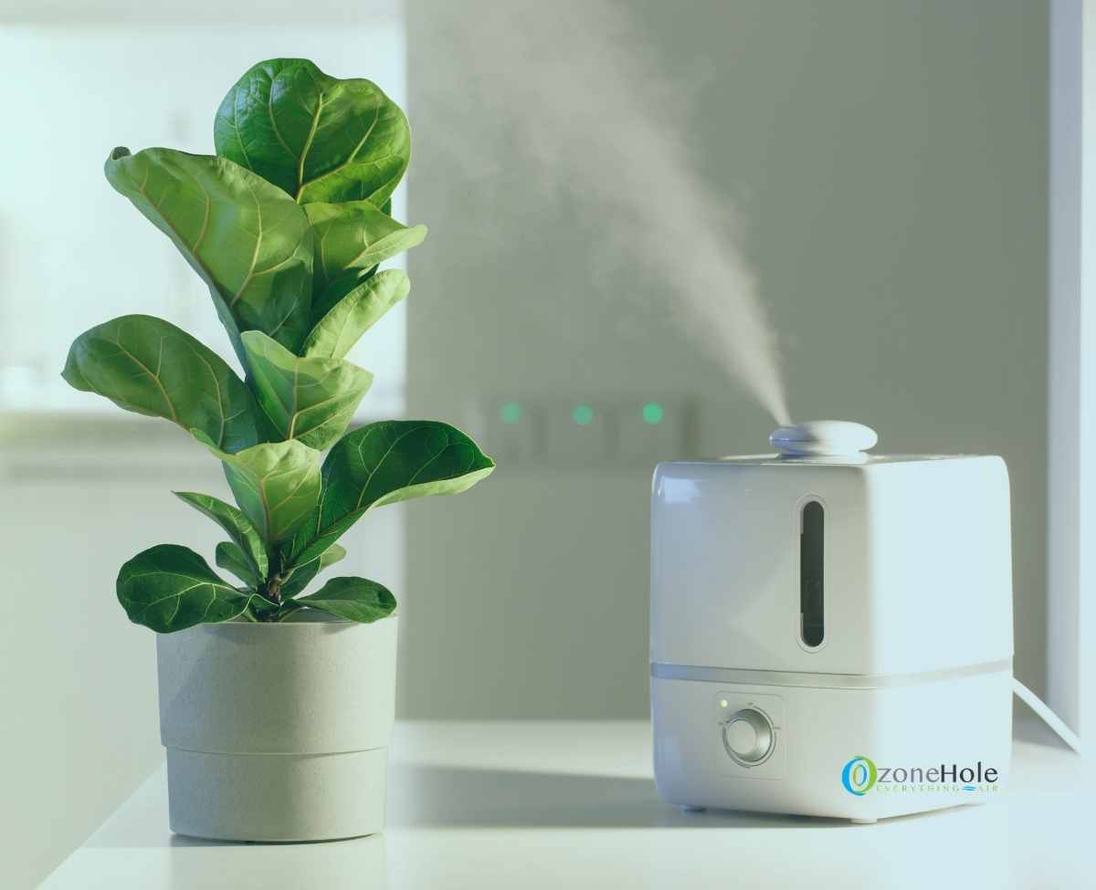 The Best Humidifier for Plants