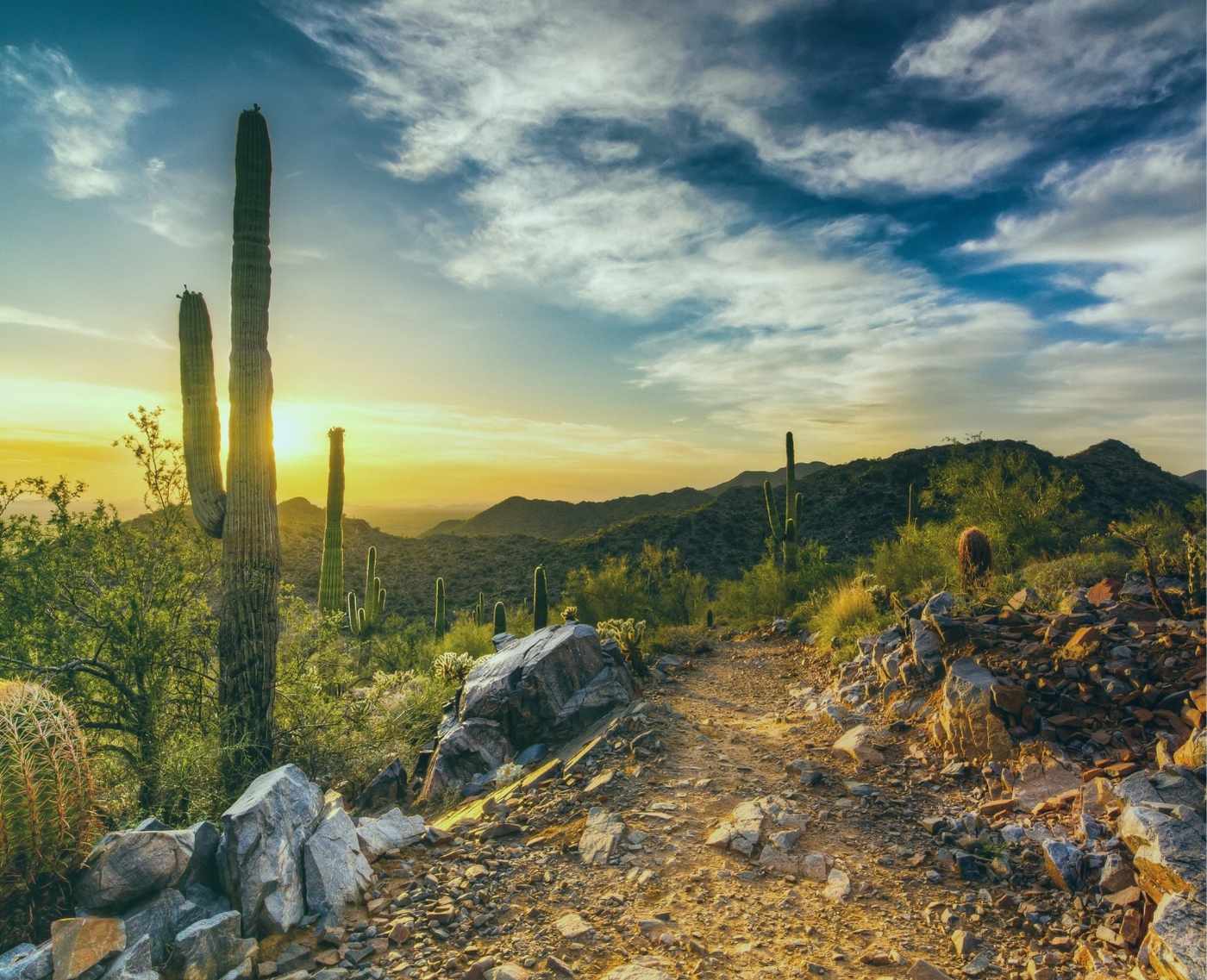 The Best Humidifier for Arizona Weather The Ozone Hole