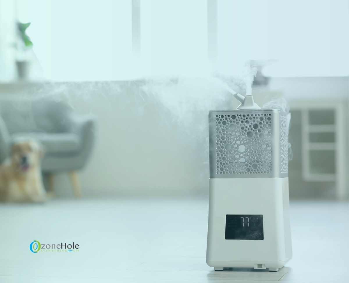 How Long Does a Dehumidifier Last ǀ Dehumidifier Lifespan The Ozone Hole