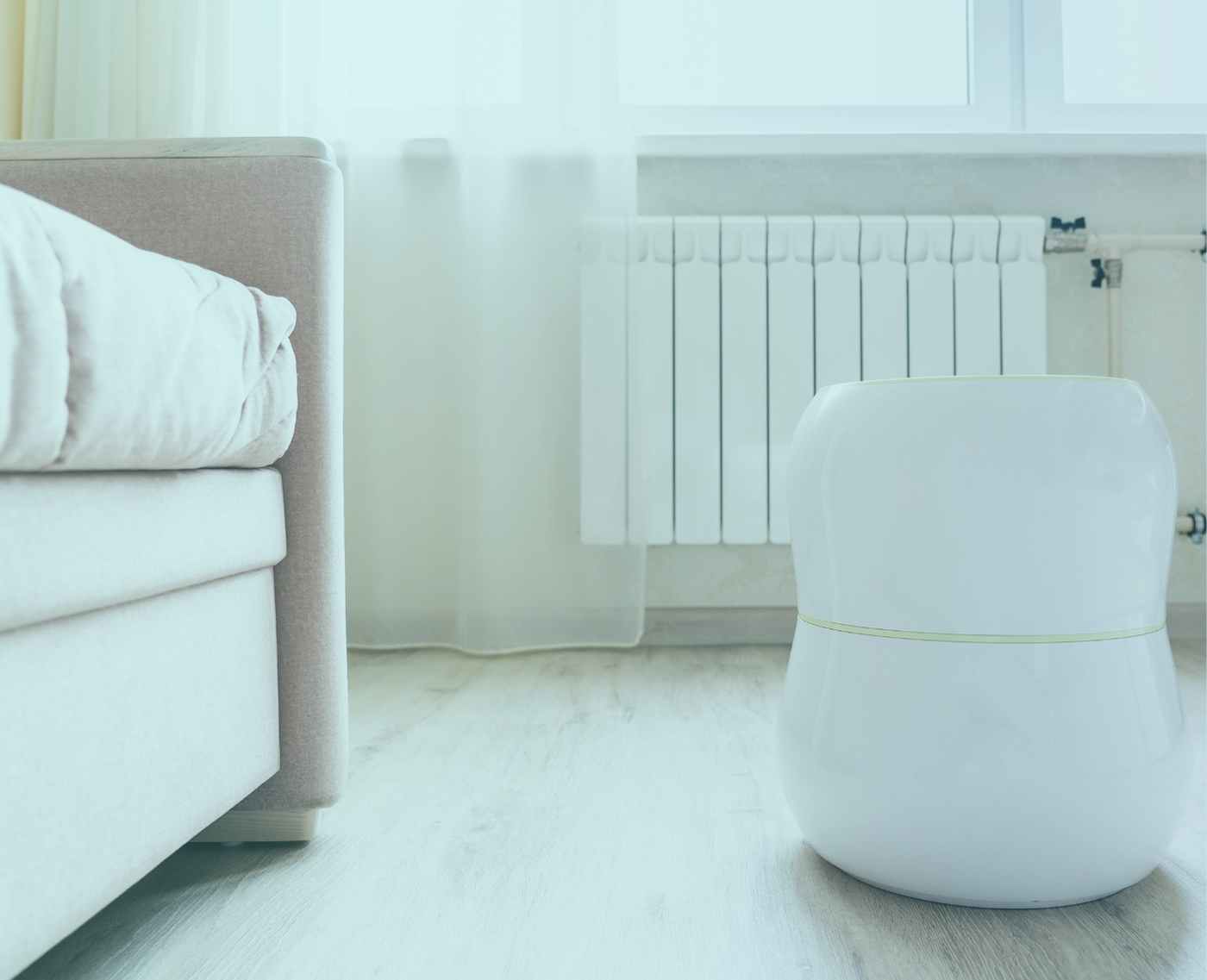 The Quietest Humidifier for a Bedroom in 2022 The Ozone Hole