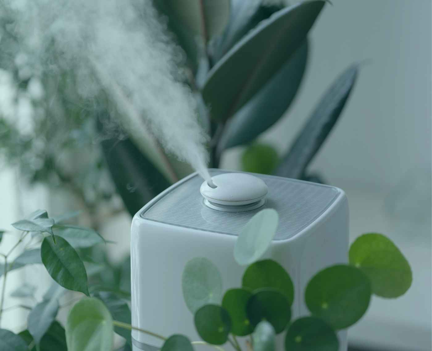 Are Air Purifiers with Ionizers Safe? The Ozone Hole