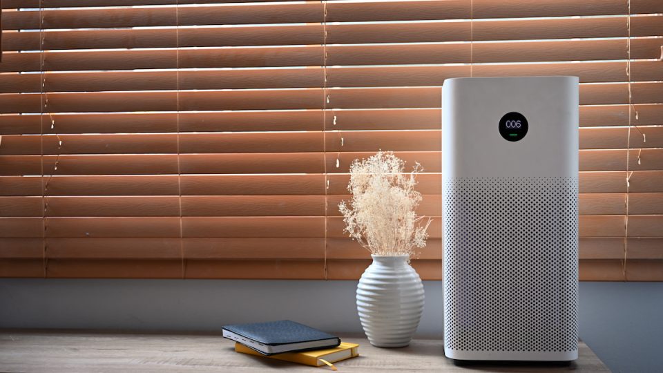 What Is the Difference Between An Air Purifier and Humidifier? The