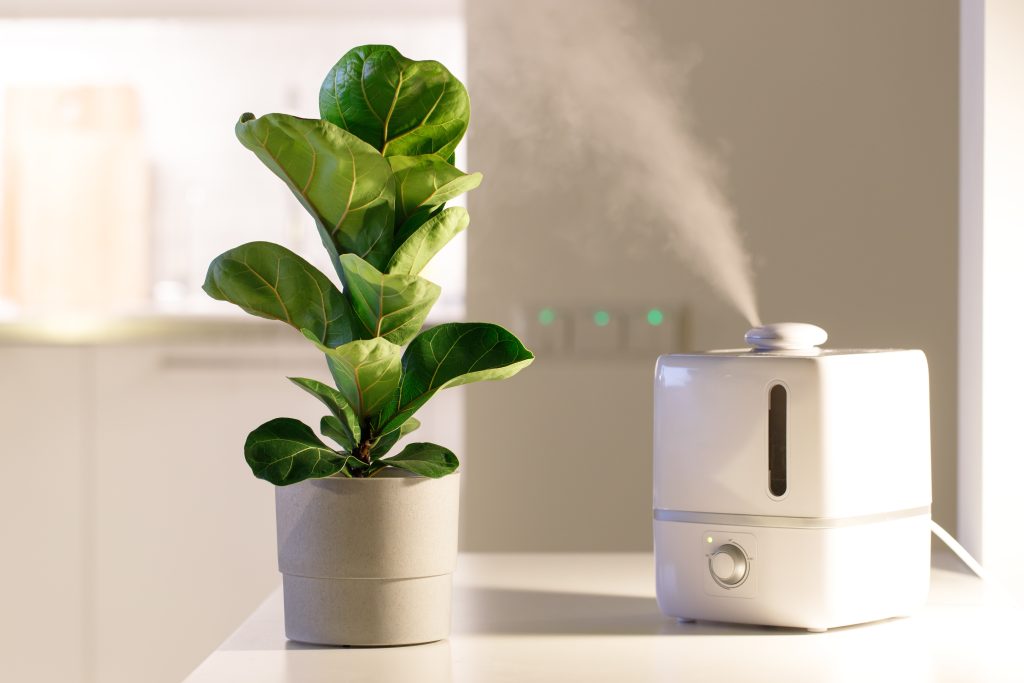 How to Use a Humidifier? | The Ozone Hole