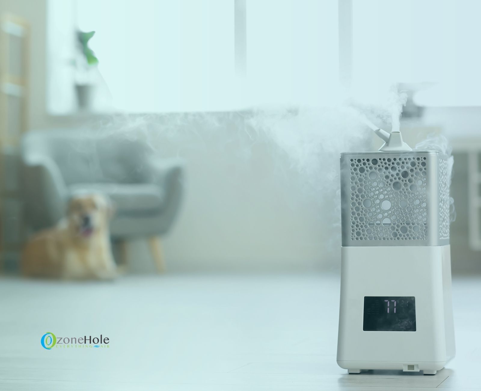 Reviews Humidifiers, dehumidifiers, air purifiers, air conditioners