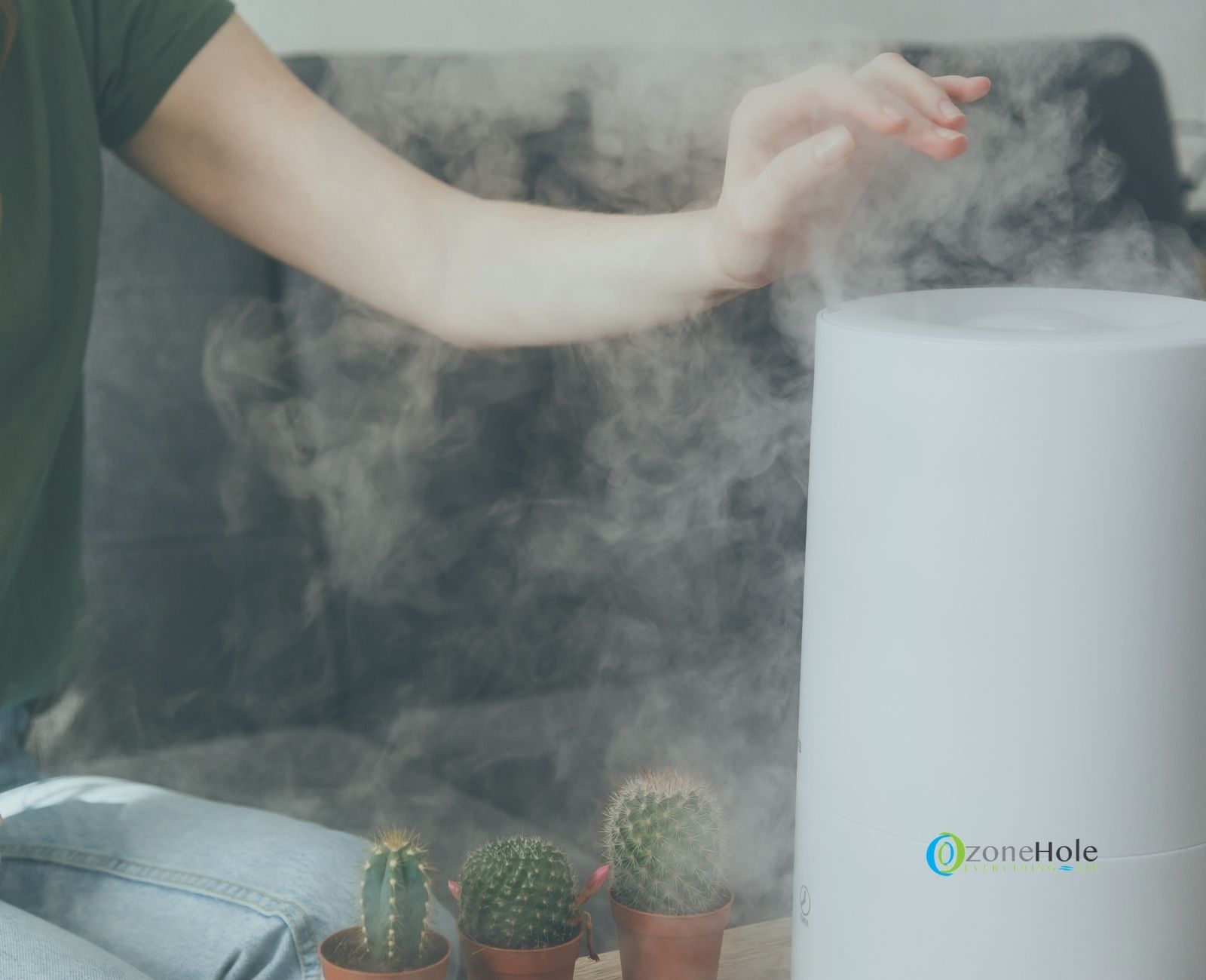 What humidifier to choose Warm mist v/s Cool mist? The Ozone Hole